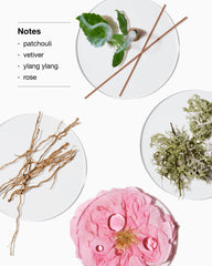 aromatics elixir™ body smoother